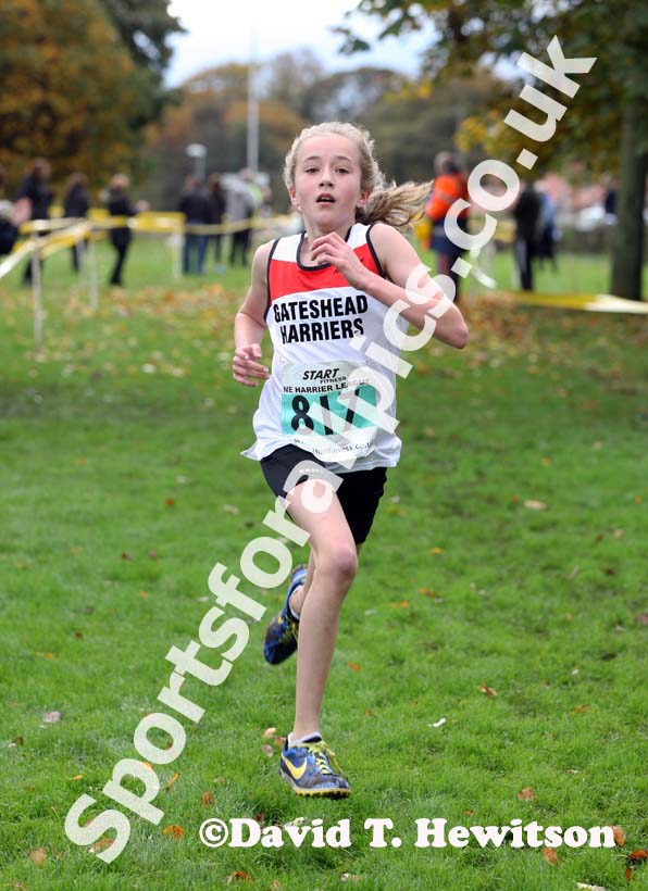 Under-13 girls winner North East Harrier League, Blaydon. Photo: David T. Hewitson/Sports for All Pics